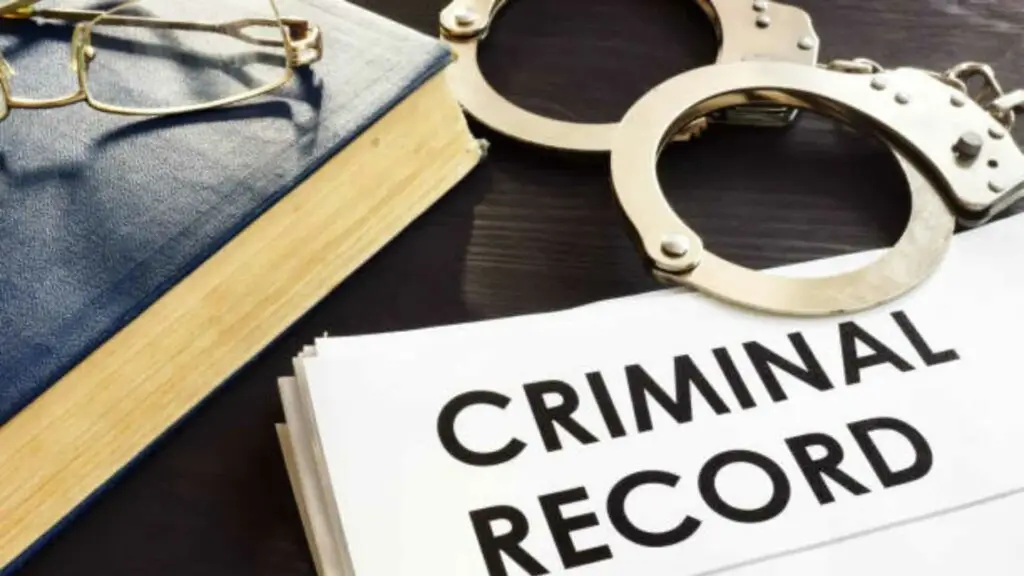 how long does a felony stay in your criminal record