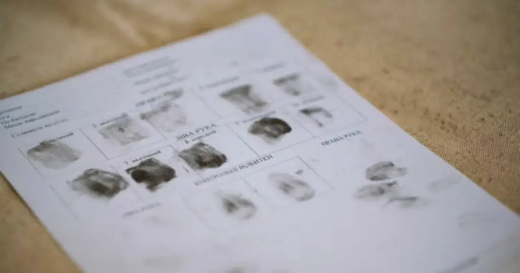 types of background checks