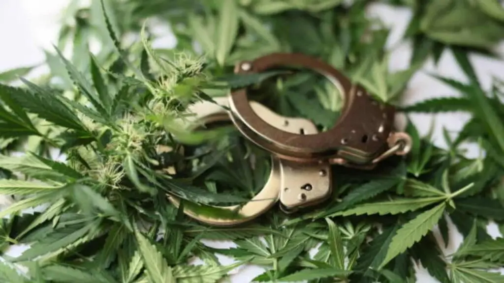 is weed illegal in florida