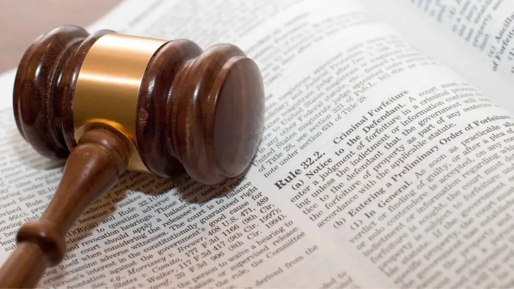 What show up in florida background checks